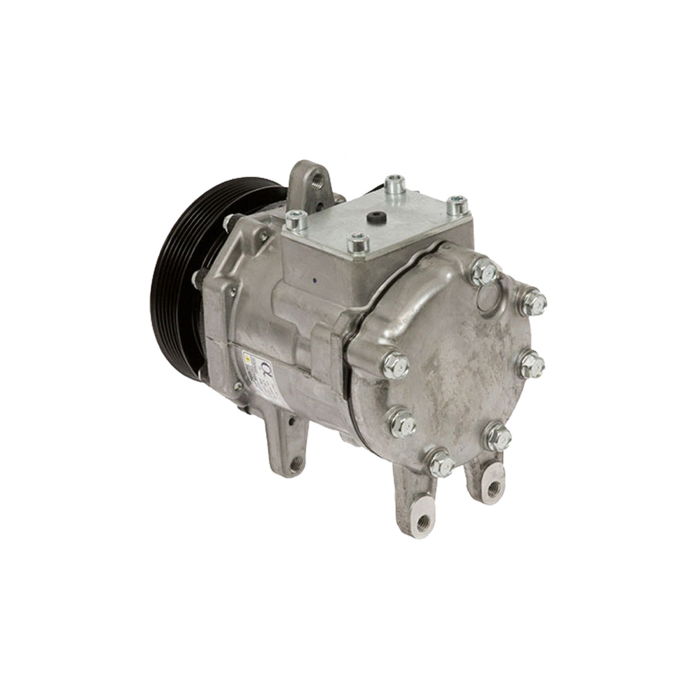 Omega Compressor 10PA17A PV6 Ford 5.0L 89-92 Yc-70 20-10529-AM