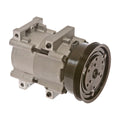 Omega Compressor FS10 PV4 20-10985-AM