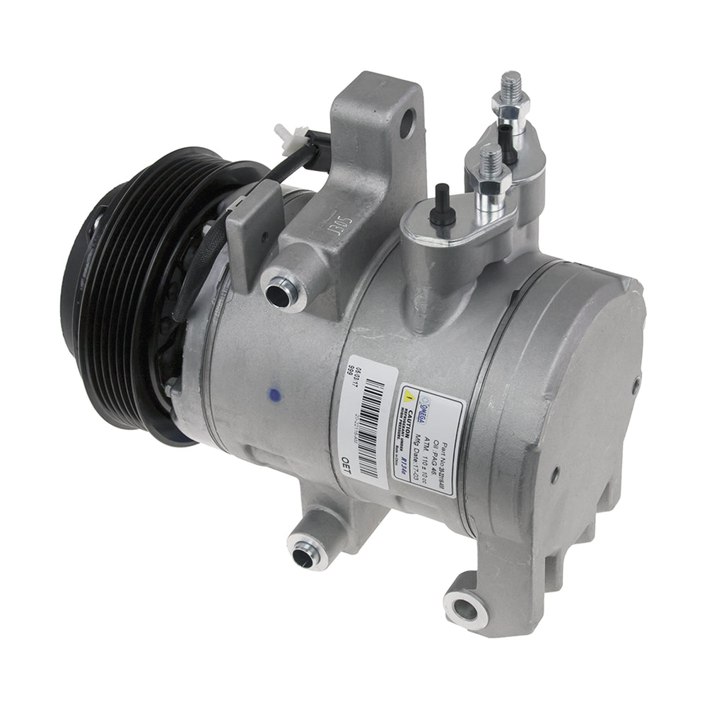 Omega Compressor DKS20 PV6 12V 20-22116-AM