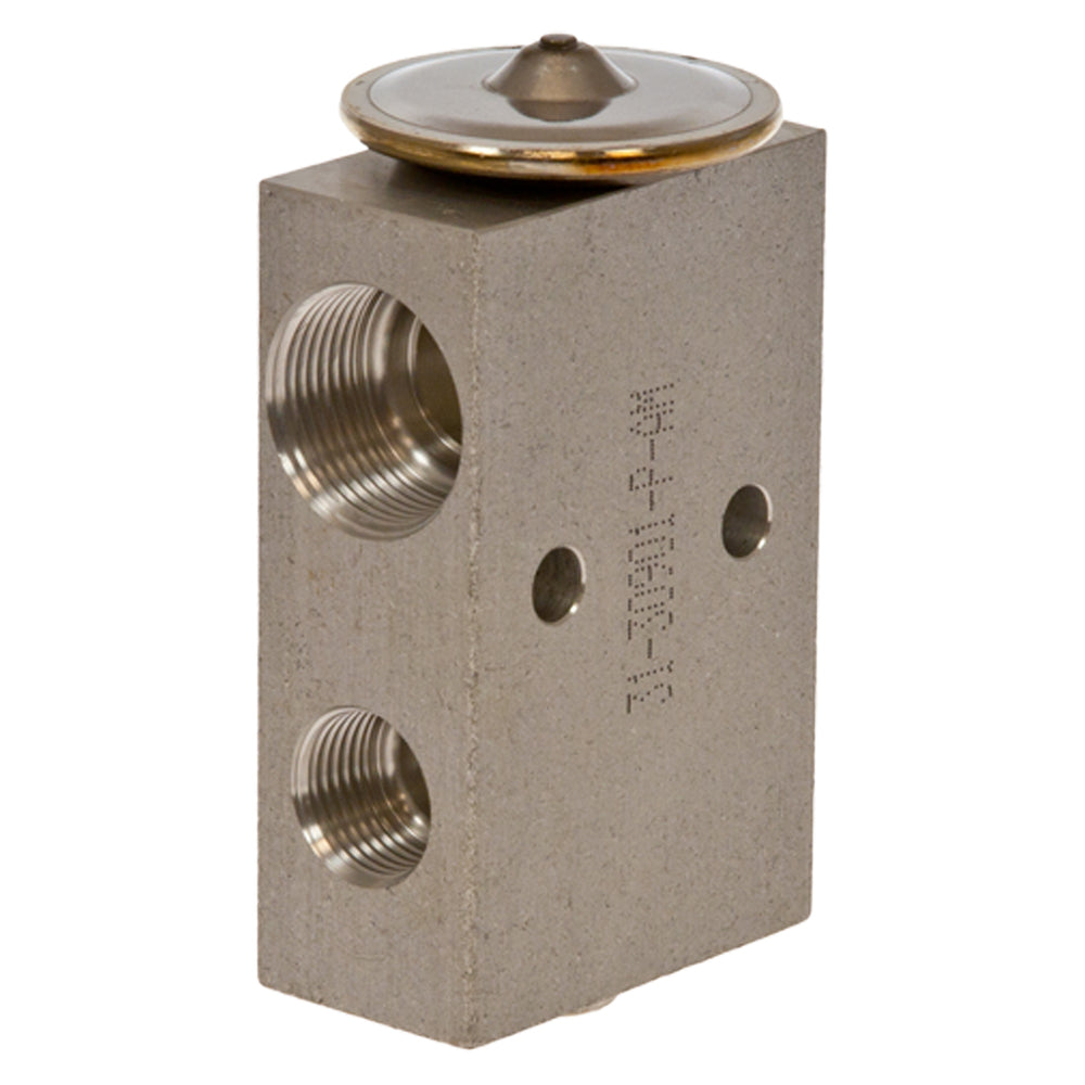 Omega Expansion Valve Block 2t with mtg Holes 31-30901-P-AM