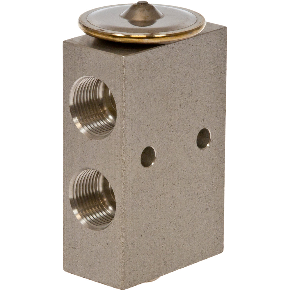 Omega Expansion Valve Block 2t with mtg Holes 31-30901-P-AM