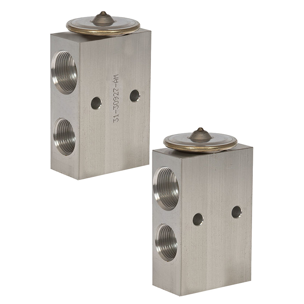 Omega Expansion Valve Block 31-30927-AM