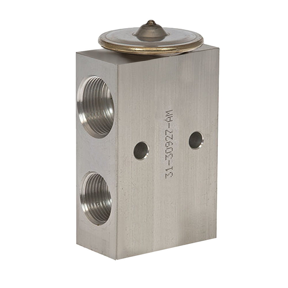 Omega Expansion Valve Block 31-30927-AM