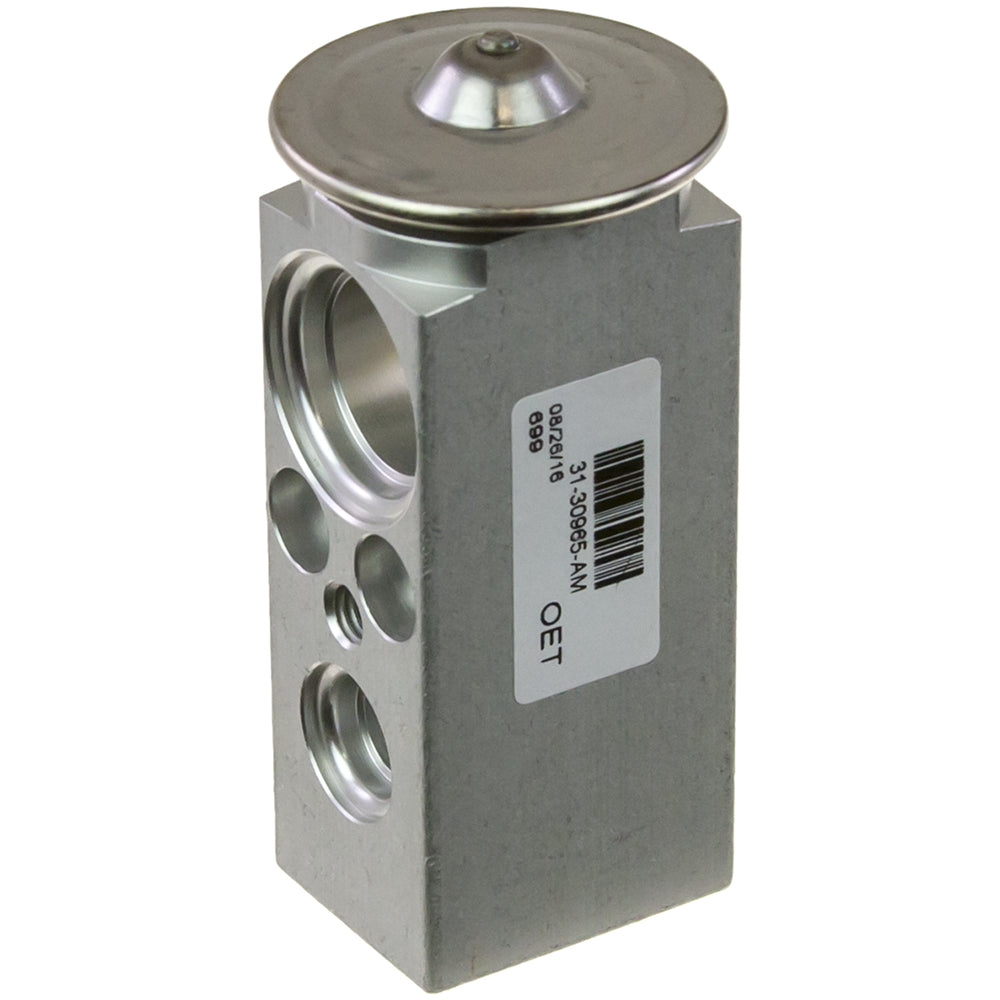 Omega Expansion Valve Block Type Gm 52464384 31-30965-AM