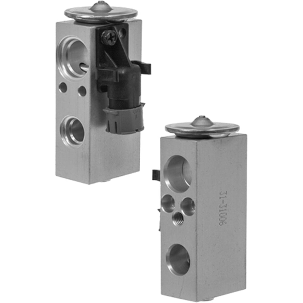 Omega Expansion Valve Chry Minivan 01-03 Frnt with coil 31-31006