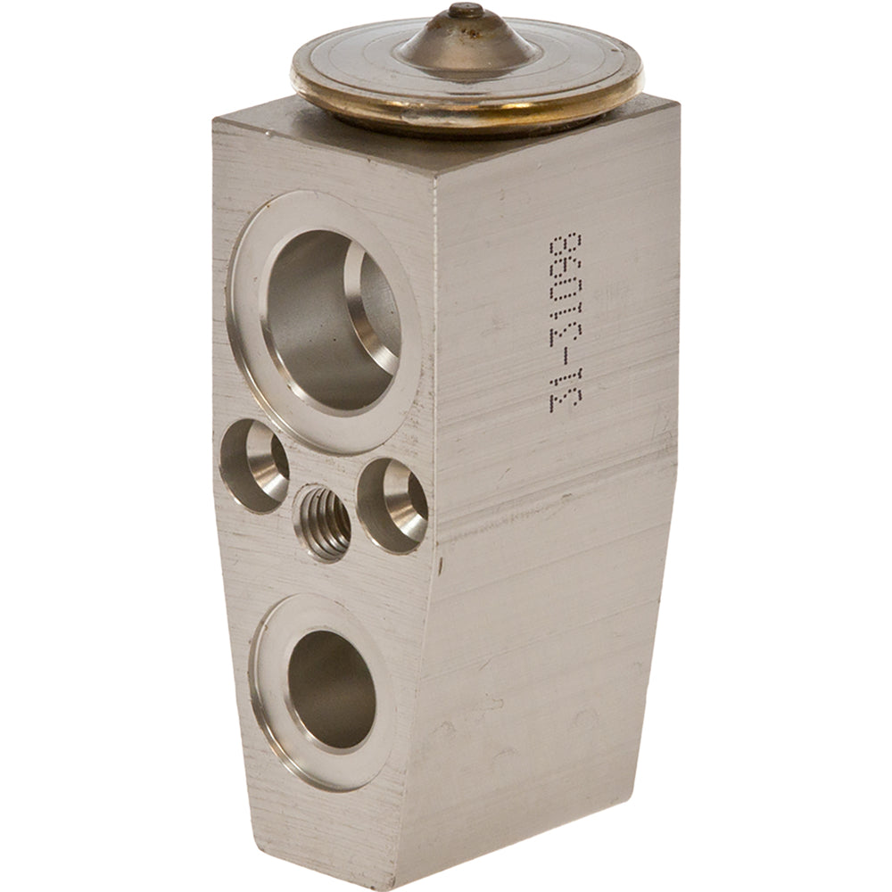 Omega Expansion Valve 31-31098