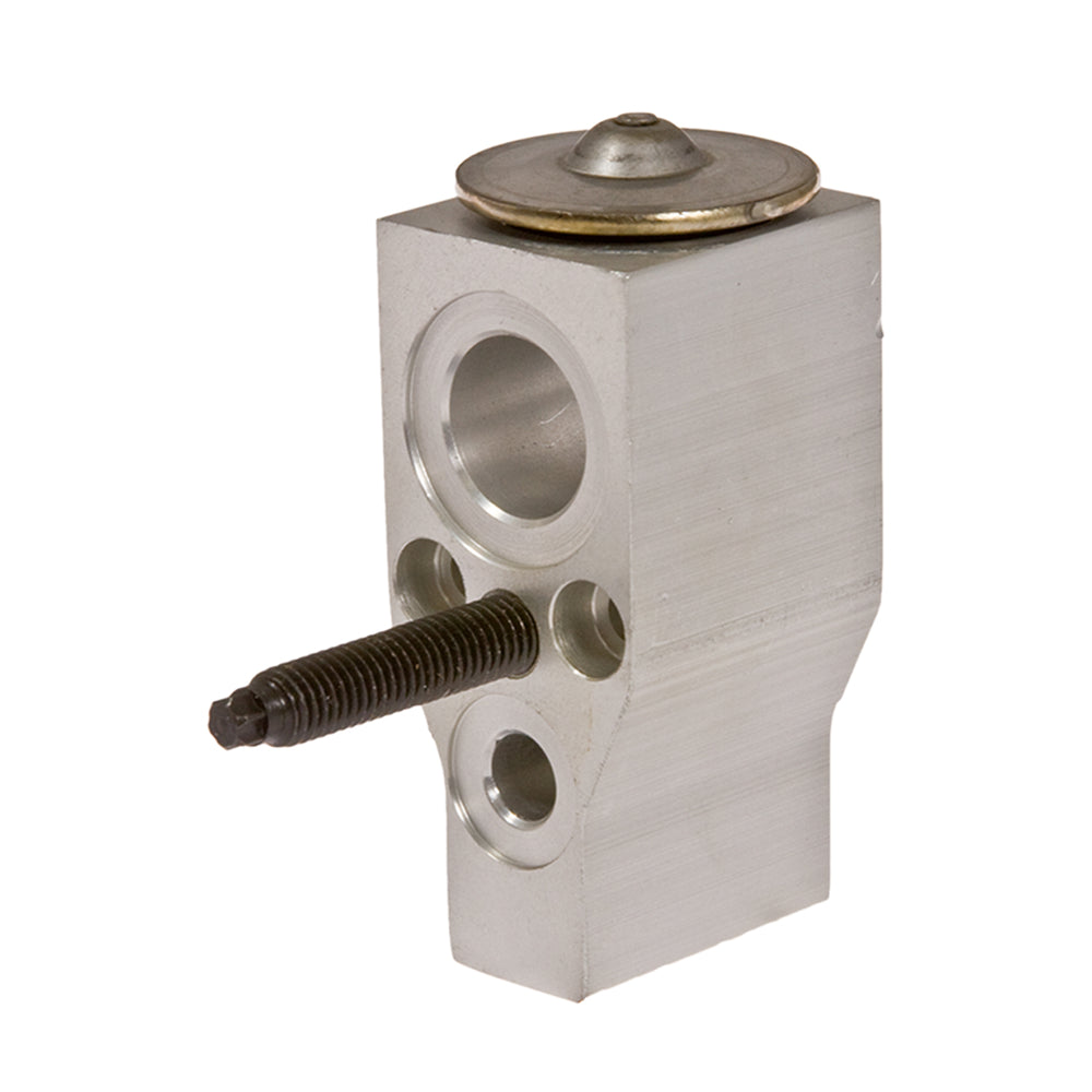 Omega Expansion Valve Gm 05-08 Uplander Montana 05-08 Aux 31-31099