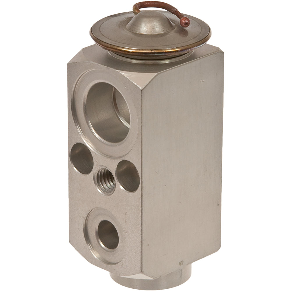 Omega Expansion Valve Enclave Traverse Outlook Acadia 07-10 31-31103