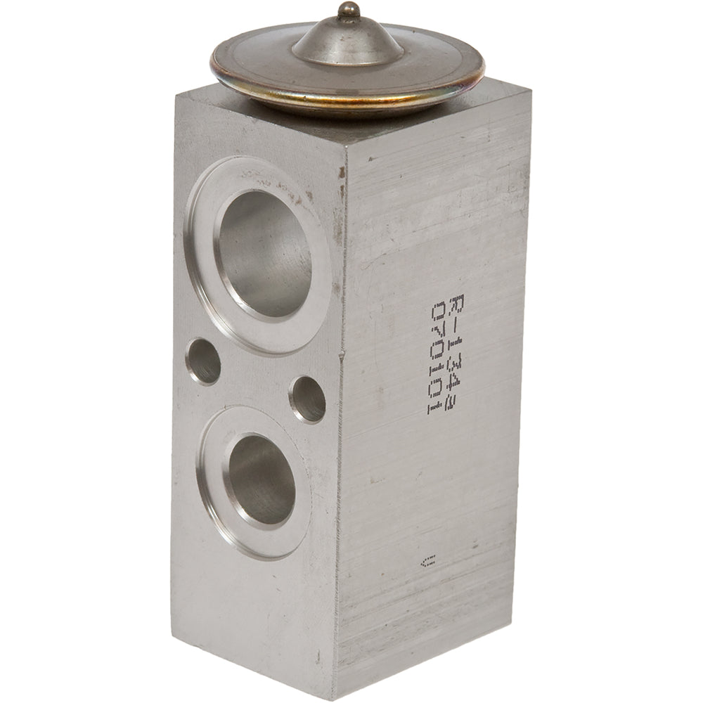 Omega Expansion Valve Hummer H3 06-09 31-31154