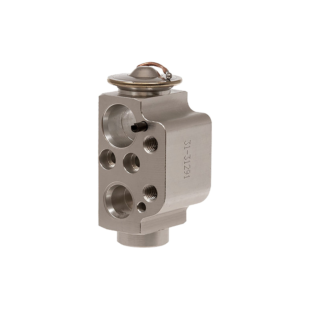 Omega Expansion Valve Block 31-31291