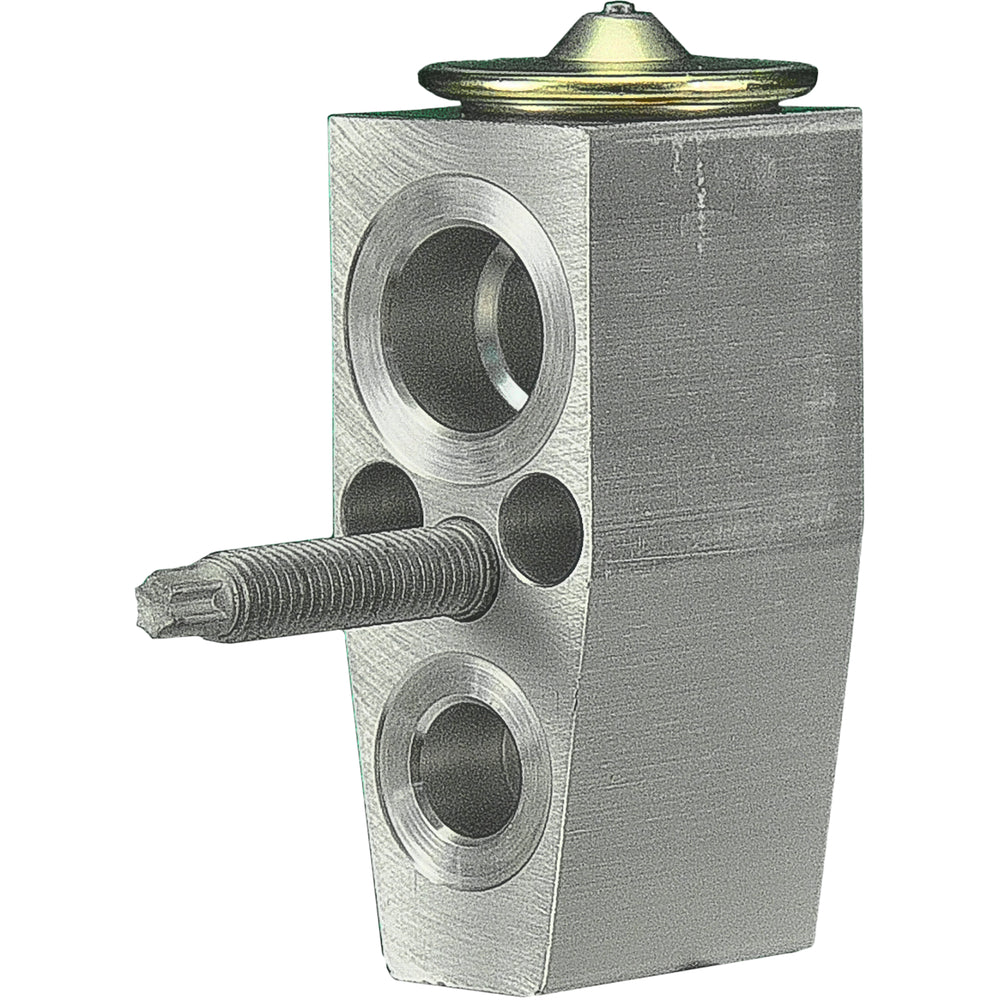 Omega Expansion Valve Block 31-31334