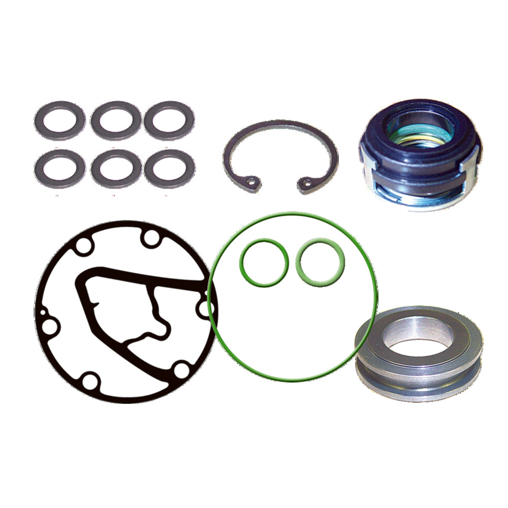 Omega Compressor Seal & Gasket Kit 6P127A/6P127B MT2069