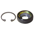 Omega Compressor Shaft Seal Kit - Visteon VS16 Lip Seal MT2248