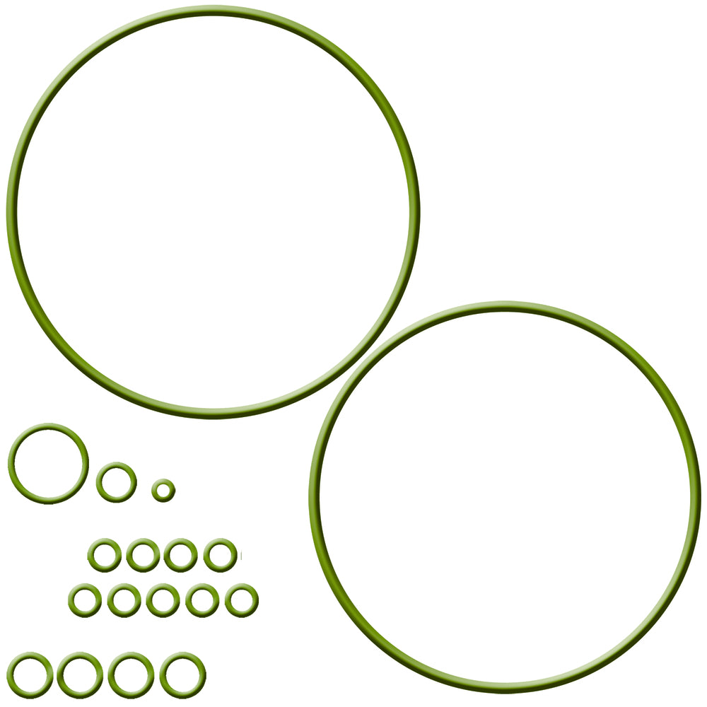Omega Compressor O-ring Kit - Sanden Trse07/trsa09 MT2278