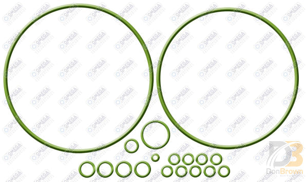 Omega Compressor O-ring Kit - Sanden Trse07/trsa09 MT2278