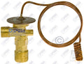 Omega Expansion Valve 3/8 x 1/2MO Tube 12in Cap 2T 31-10902-AM