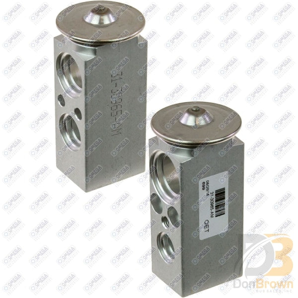 Omega Expansion Valve Block Type Gm 52464384 31-30965-AM
