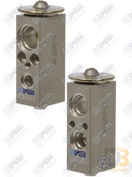 Omega Expansion Valve Block Type Special 31-30997-AM